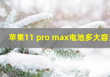 苹果11 pro max电池多大容量